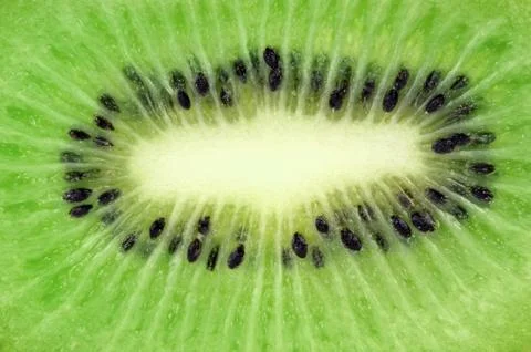 Kiwi background Stock Photos