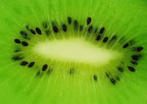 Kiwi background Foto stock