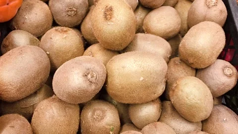 Kiwi in a box Stock Footage 258750225