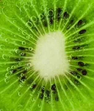 Kiwi with bubbles Stock Photos