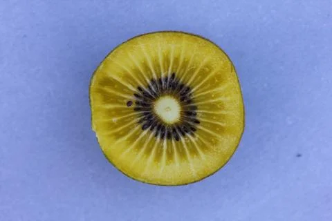 The Kiwi is called the soft fruit of several species of Actinidia Stock Photos