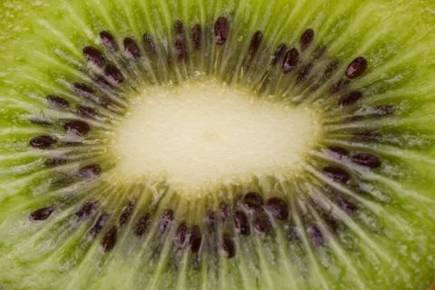 Kiwi close-up Stock Photos