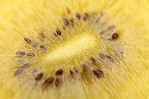 Kiwi close-up. Stock Photos