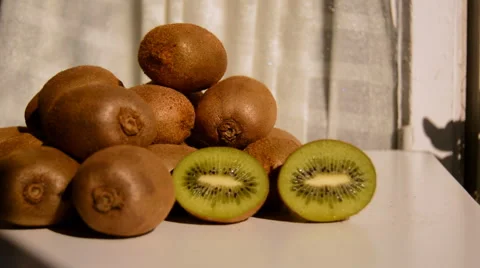 Kiwi On Display Stock Footage 47987087