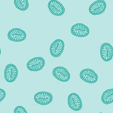 Kiwi dried fruit line vector seamless pattern Stock Illustration