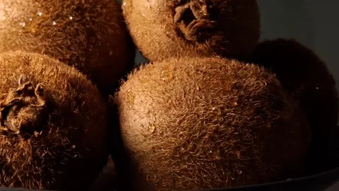 Kiwi Stock Footage 341676620