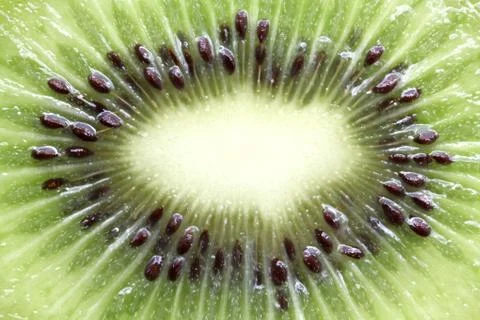Kiwi fruit background Stock Photos