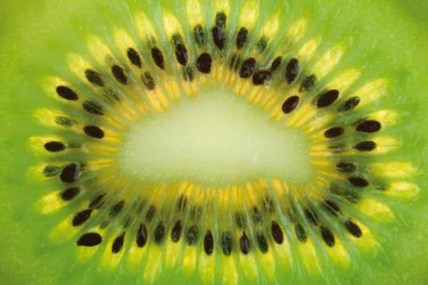 Kiwi fruit background Stock Photos