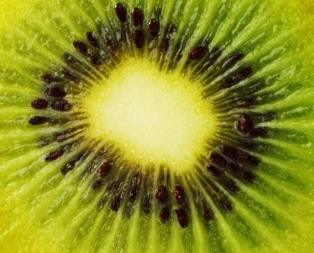Kiwi fruit background Stock Photos
