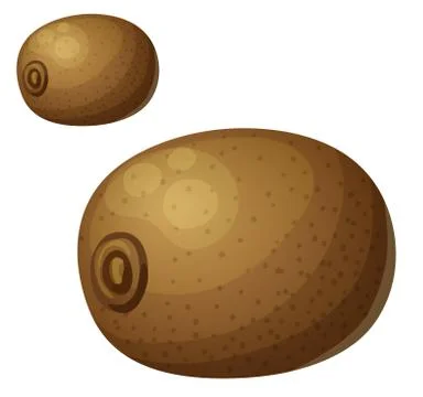 Kiwi fruit. Cartoon vector icon isolated on white Stock Illustration