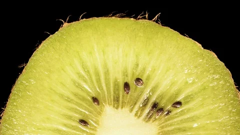 Kiwi fruit close up on black isolated background Stock Footage 101213402