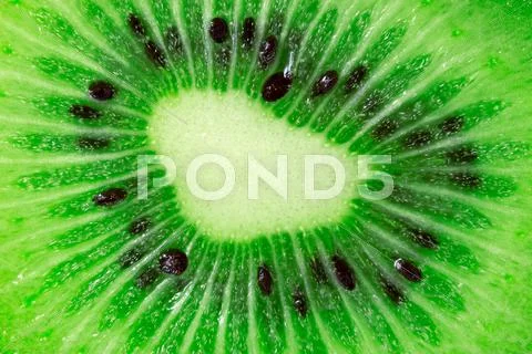 Kiwi fruit close-up Stock Photos