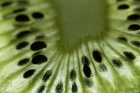 Kiwi Fruit Closeup Photos