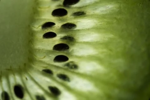Kiwi Fruit Closeup Photos