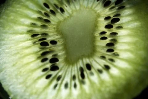 Kiwi Fruit Closeup Photos