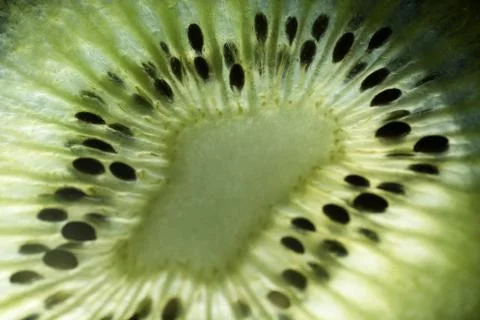 Kiwi Fruit Closeup Photos