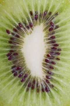 Kiwi fruit closeup Stock Photos