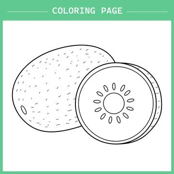 Kiwi Fruit Coloring Page Vector イラスト素材