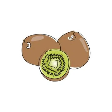 Kiwi fruit in continuous line art drawing style. Stock Illustration