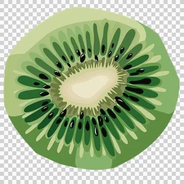 Kiwi fruit drawing Stock Illustration