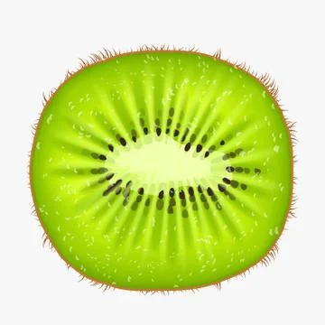 Kiwi fruit front view on white back Stock Illustration