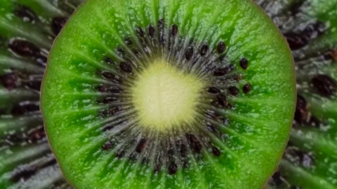 Kiwi fruit half or slice scaling in minimal motion graphic seamless looping Stock Footage 203781654