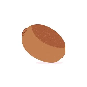 Kiwi Fruit Icon Set Vector Design. Ripe whole kiwi fruit and half kiwi fruit Stock Illustration