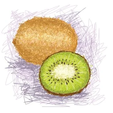 Kiwi fruit Stock Illustration