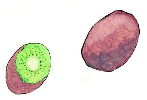 Kiwi fruit Stock Illustration