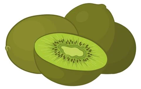 Kiwi fruit Stock-Illustration
