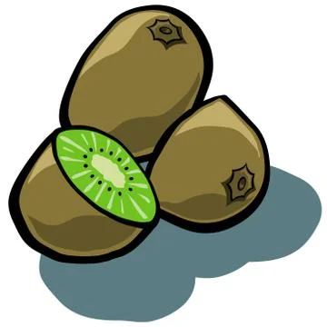 Kiwi Fruit Stock Illustration