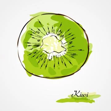Kiwi Fruit Stock Illustration