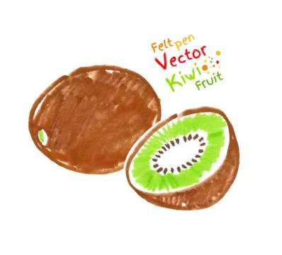 Kiwi fruit Stock Illustration