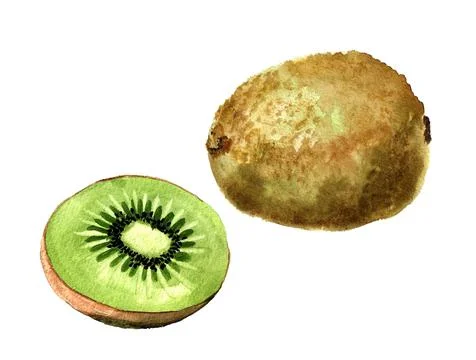 Kiwi fruit Stock Illustration