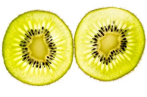 Kiwi fruit isolated. Stock Photos