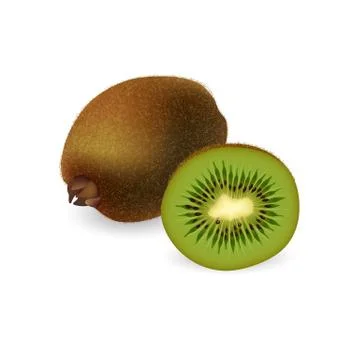 Kiwi fruit isolated on white background Illustrazione stock