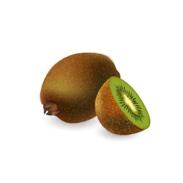 Kiwi fruit isolated on white background Stock Illustration