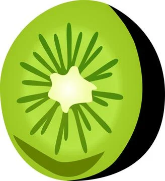 Kiwi fruit isolated on a white background. Vector illustration. Stockillustratie