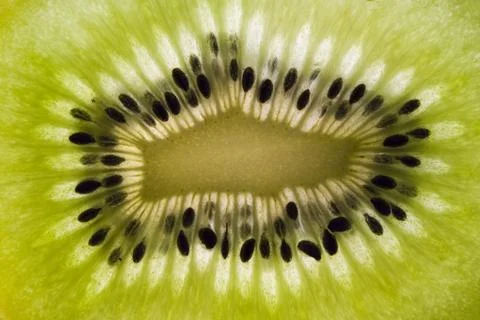 Kiwi fruit, macro. 스톡 사진