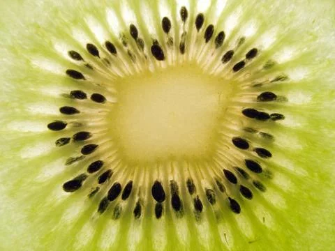 Kiwi fruit Stock Photos