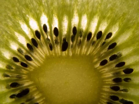 Kiwi fruit Stock Photos