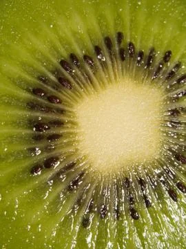 Kiwi fruit Stock Photos