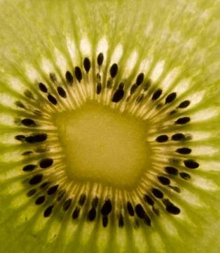 Kiwi fruit Stock Photos