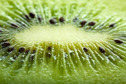 Kiwi fruit Stock Photos