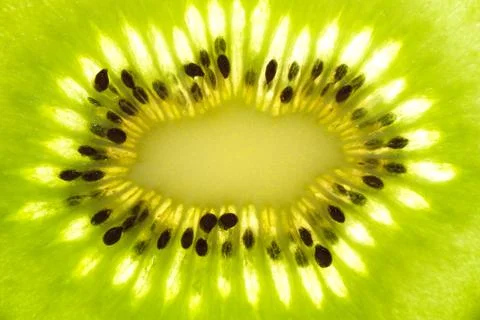 Kiwi fruit Stock Photos