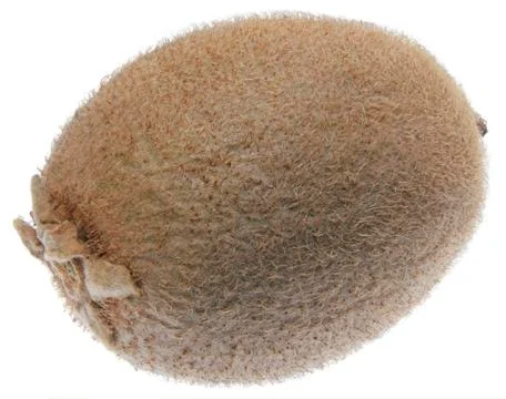 Kiwi fruit Stock Photos