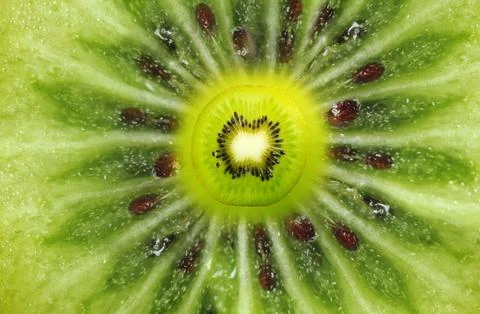 Kiwi fruit Stock Photos
