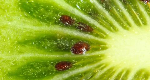 Kiwi fruit Stock Photos