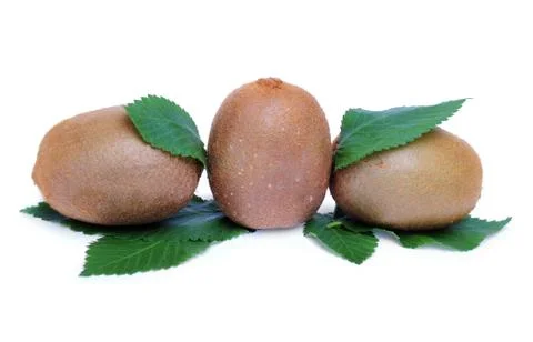 Kiwi fruit Stock Photos