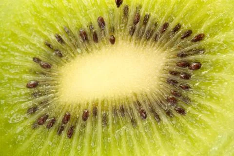 Kiwi fruit Stock Photos